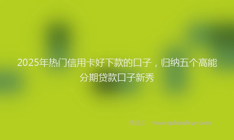 2025年热门信用卡好下款的口子，归纳五个高能分期贷款口子新秀