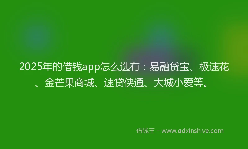 2025年的借钱app怎么选有：易融贷宝、极速花、金芒果商城、速贷侠通、大城小爱等。