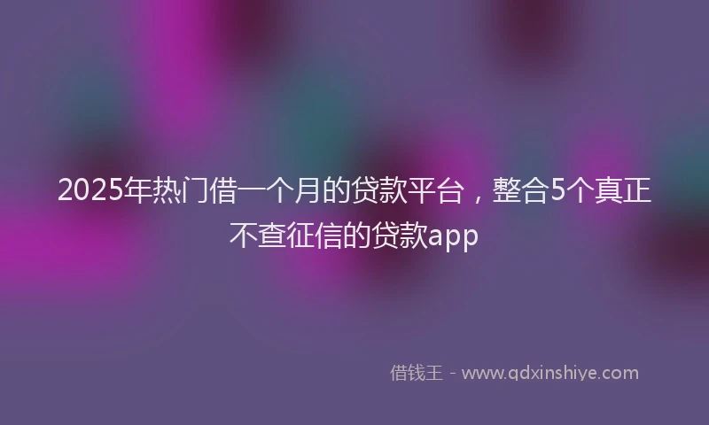 2025年热门借一个月的贷款平台，整合5个真正不查征信的贷款app