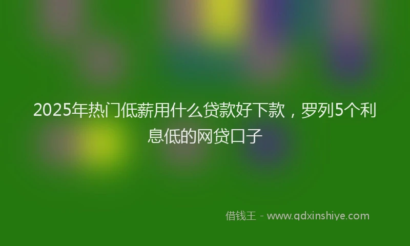 2025年热门低薪用什么贷款好下款，罗列5个利息低的网贷口子
