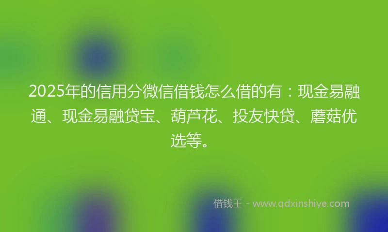 2025年的信用分微信借钱怎么借的有：现金易融通、现金易融贷宝、葫芦花、投友快贷、蘑菇优选等。