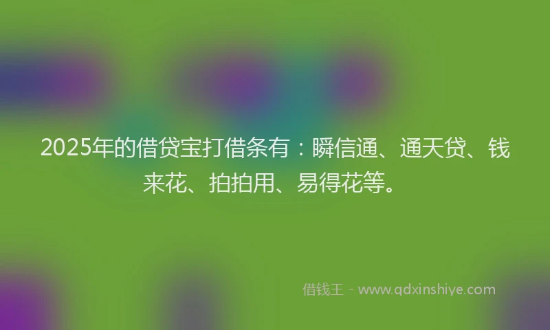 2025年的借贷宝打借条有：瞬信通、通天贷、钱来花、拍拍用、易得花等。