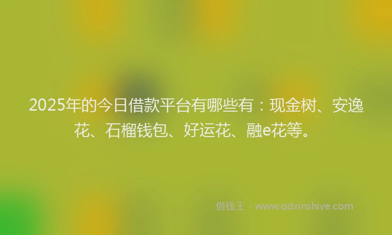 2025年的今日借款平台有哪些有：现金树、安逸花、石榴钱包、好运花、融e花等。