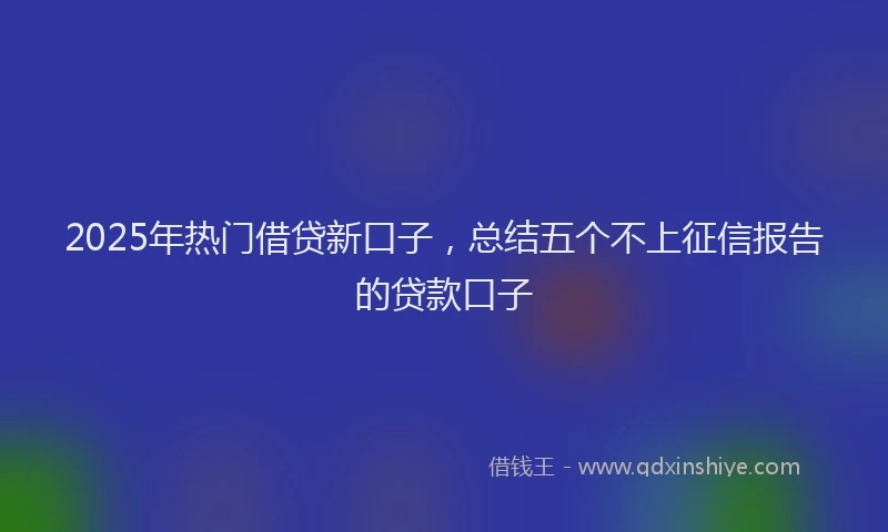 2025年热门借贷新口子，总结五个不上征信报告的贷款口子
