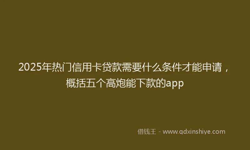 2025年热门信用卡贷款需要什么条件才能申请，概括五个高炮能下款的app