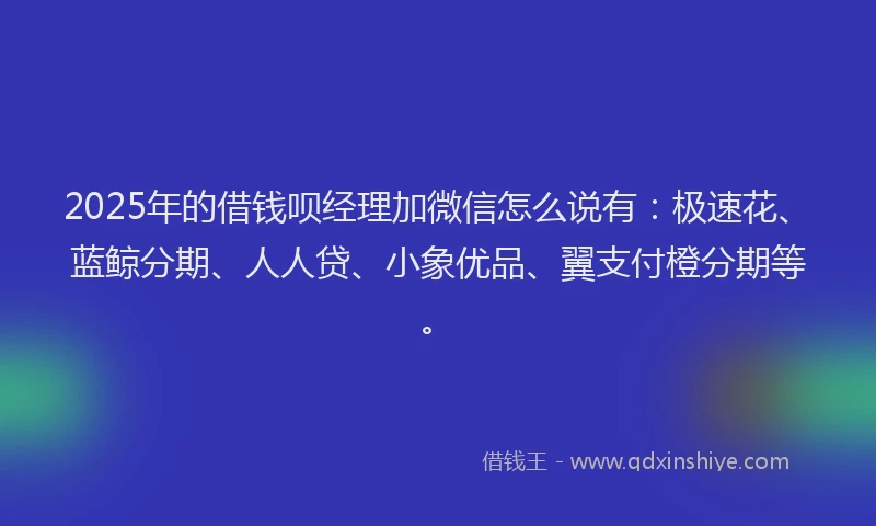 2025年的借钱呗经理加微信怎么说有：极速花、蓝鲸分期、人人贷、小象优品、翼支付橙分期等。