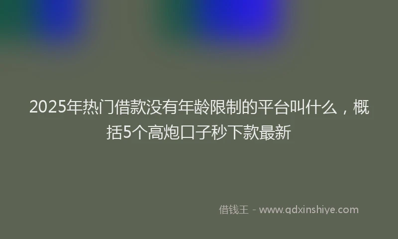 2025年热门借款没有年龄限制的平台叫什么，概括5个高炮口子秒下款最新