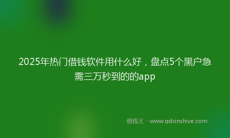 2025年热门借钱软件用什么好，盘点5个黑户急需三万秒到的的app