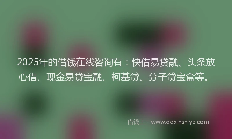2025年的借钱在线咨询有：快借易贷融、头条放心借、现金易贷宝融、柯基贷、分子贷宝盒等。