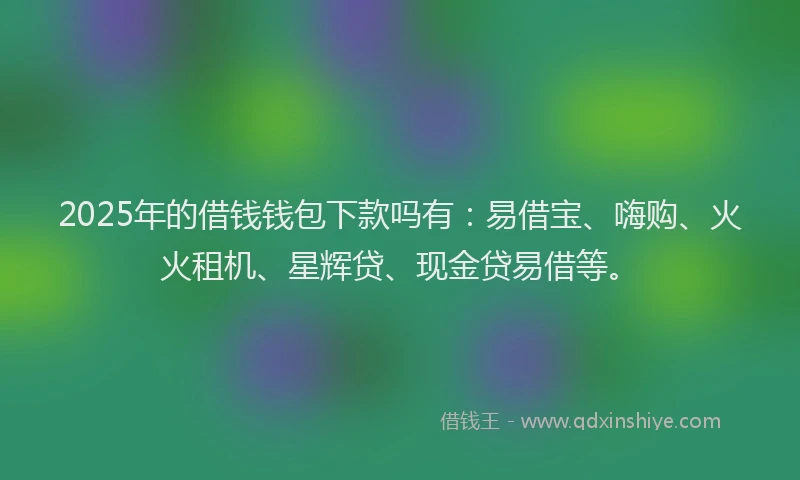 2025年的借钱钱包下款吗有：易借宝、嗨购、火火租机、星辉贷、现金贷易借等。