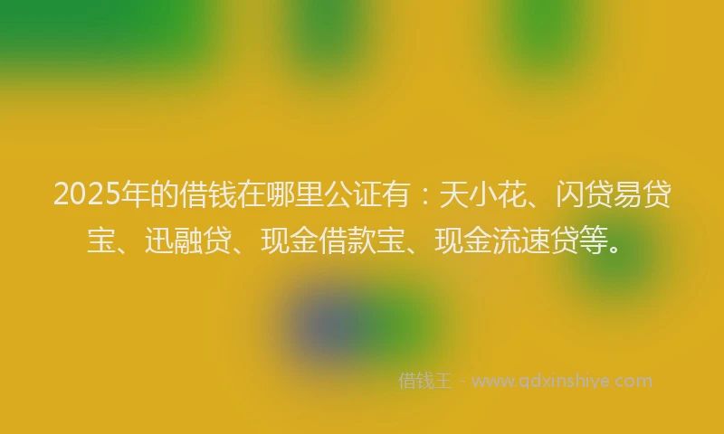 2025年的借钱在哪里公证有：天小花、闪贷易贷宝、迅融贷、现金借款宝、现金流速贷等。