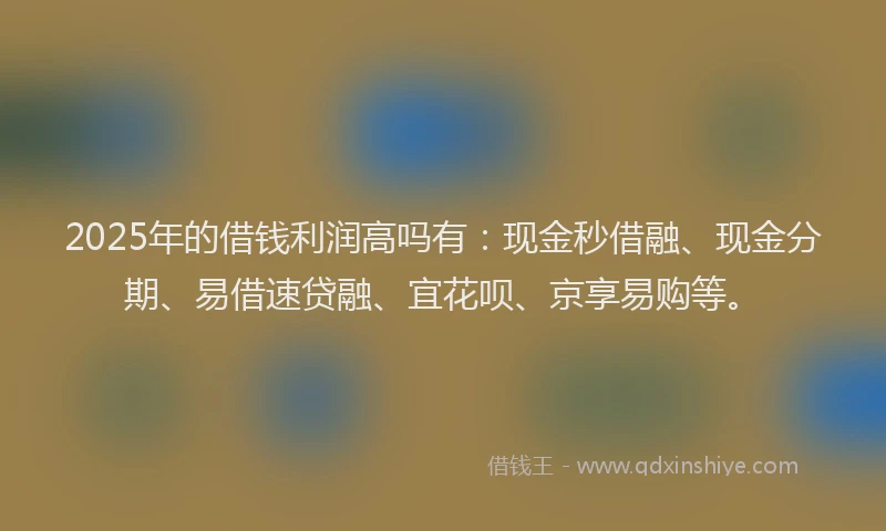 2025年的借钱利润高吗有：现金秒借融、现金分期、易借速贷融、宜花呗、京享易购等。