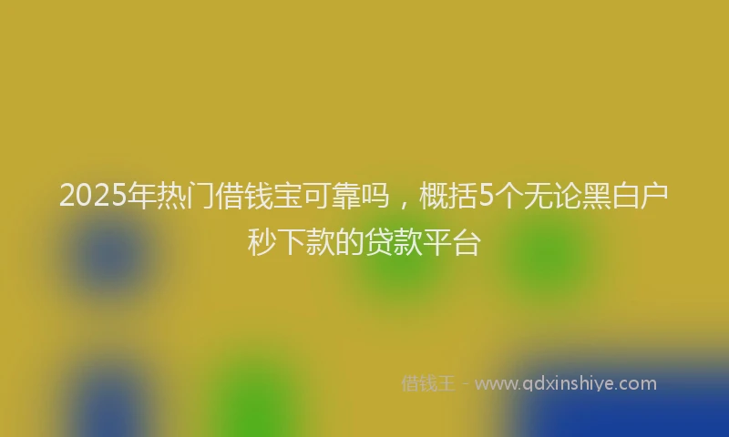 2025年热门借钱宝可靠吗，概括5个无论黑白户秒下款的贷款平台