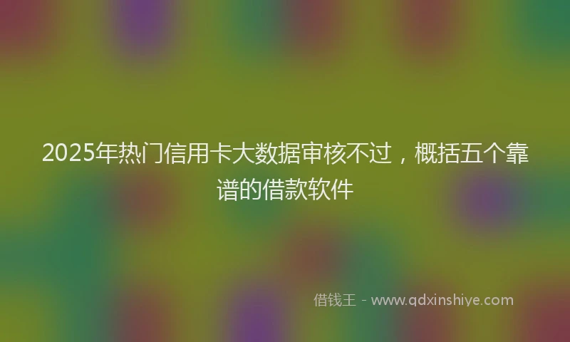 2025年热门信用卡大数据审核不过，概括五个靠谱的借款软件