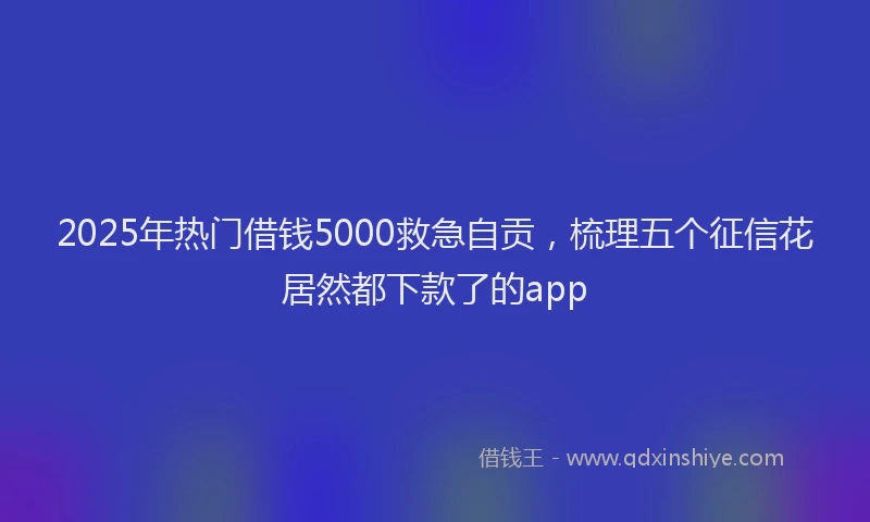 2025年热门借钱5000救急自贡，梳理五个征信花居然都下款了的app