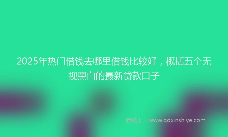 2025年热门借钱去哪里借钱比较好，概括五个无视黑白的最新贷款口子