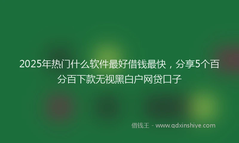 2025年热门什么软件最好借钱最快，分享5个百分百下款无视黑白户网贷口子
