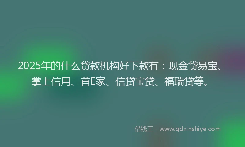 2025年的什么贷款机构好下款有：现金贷易宝、掌上信用、首E家、信贷宝贷、福瑞贷等。