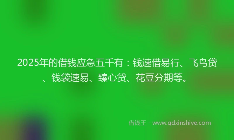 2025年的借钱应急五千有：钱速借易行、飞鸟贷、钱袋速易、臻心贷、花豆分期等。