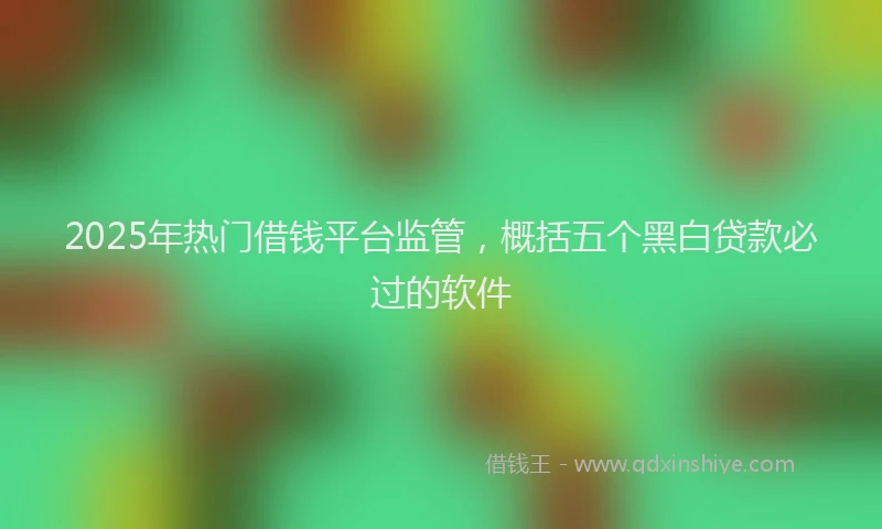 2025年热门借钱平台监管，概括五个黑白贷款必过的软件