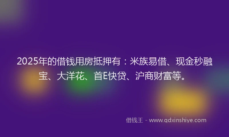 2025年的借钱用房抵押有：米族易借、现金秒融宝、大洋花、首E快贷、沪商财富等。