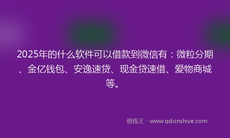 2025年的什么软件可以借款到微信有：微粒分期、金亿钱包、安逸速贷、现金贷速借、爱物商城等。