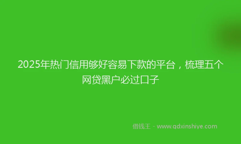 2025年热门信用够好容易下款的平台，梳理五个网贷黑户必过口子