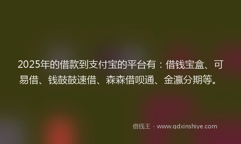 2025年的借款到支付宝的平台有：借钱宝盒、可易借、钱鼓鼓速借、森森借呗通、金瀛分期等。