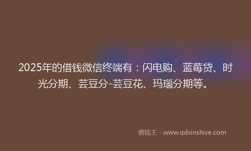 2025年的借钱微信终端有：闪电购、蓝莓贷、时光分期、芸豆分-芸豆花、玛瑙分期等。