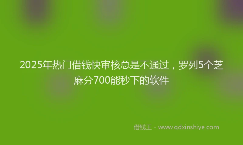 2025年热门借钱快审核总是不通过，罗列5个芝麻分700能秒下的软件