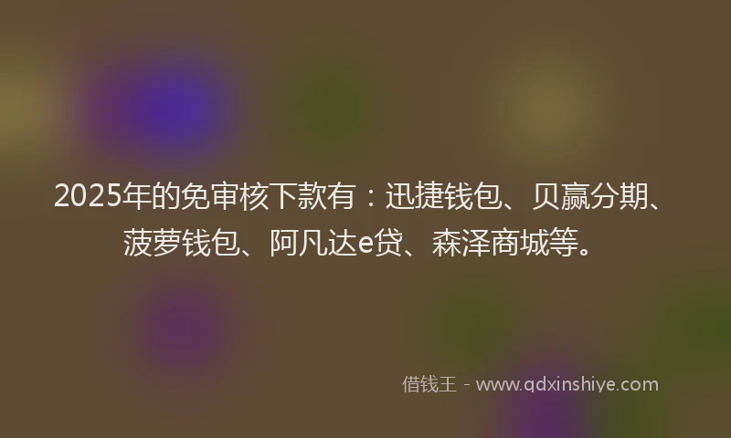 2025年的免审核下款有：迅捷钱包、贝赢分期、菠萝钱包、阿凡达e贷、森泽商城等。