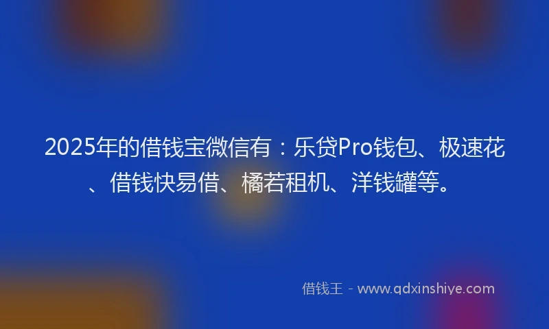 2025年的借钱宝微信有：乐贷Pro钱包、极速花、借钱快易借、橘若租机、洋钱罐等。