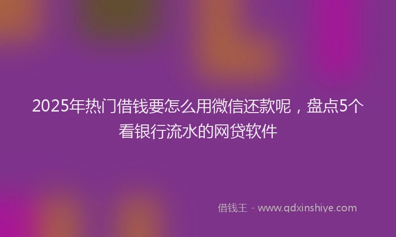 2025年热门借钱要怎么用微信还款呢，盘点5个看银行流水的网贷软件