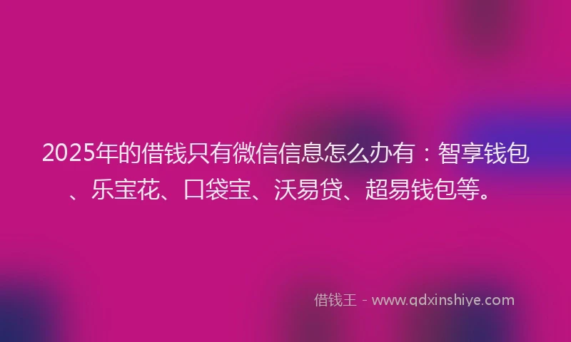 2025年的借钱只有微信信息怎么办有：智享钱包、乐宝花、口袋宝、沃易贷、超易钱包等。