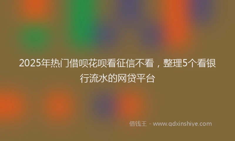 2025年热门借呗花呗看征信不看，整理5个看银行流水的网贷平台