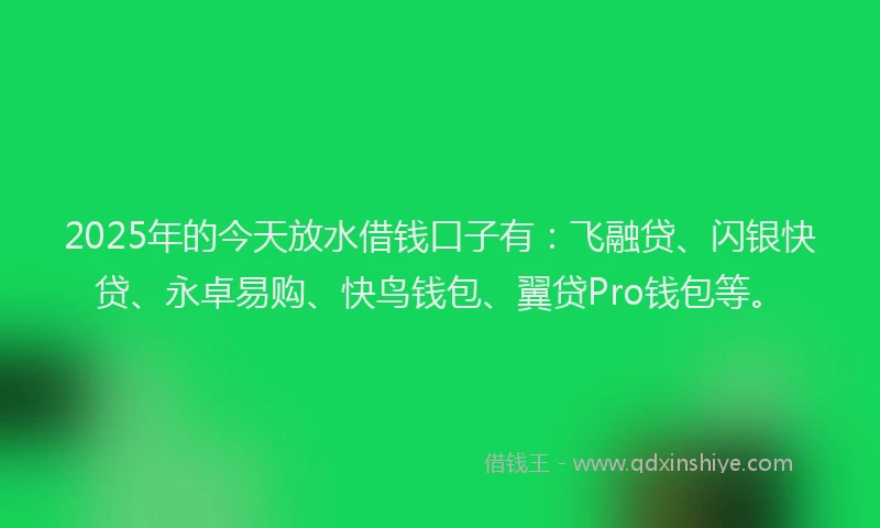 2025年的今天放水借钱口子有：飞融贷、闪银快贷、永卓易购、快鸟钱包、翼贷Pro钱包等。