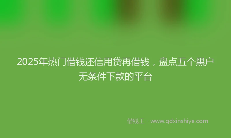 2025年热门借钱还信用贷再借钱，盘点五个黑户无条件下款的平台
