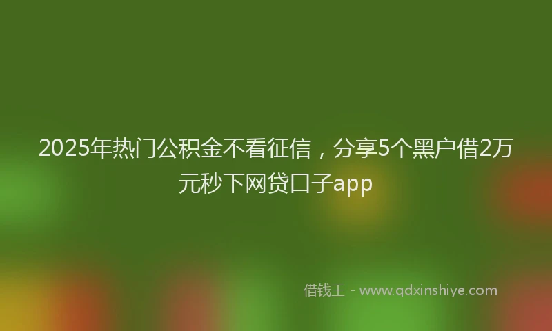 2025年热门公积金不看征信，分享5个黑户借2万元秒下网贷口子app