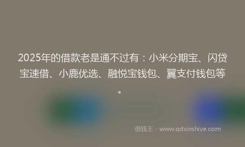 2025年的借款老是通不过有：小米分期宝、闪贷宝速借、小鹿优选、融悦宝钱包、翼支付钱包等。