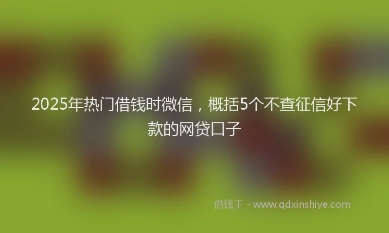 2025年热门借钱时微信，概括5个不查征信好下款的网贷口子