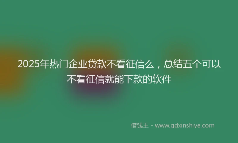 2025年热门企业贷款不看征信么，总结五个可以不看征信就能下款的软件