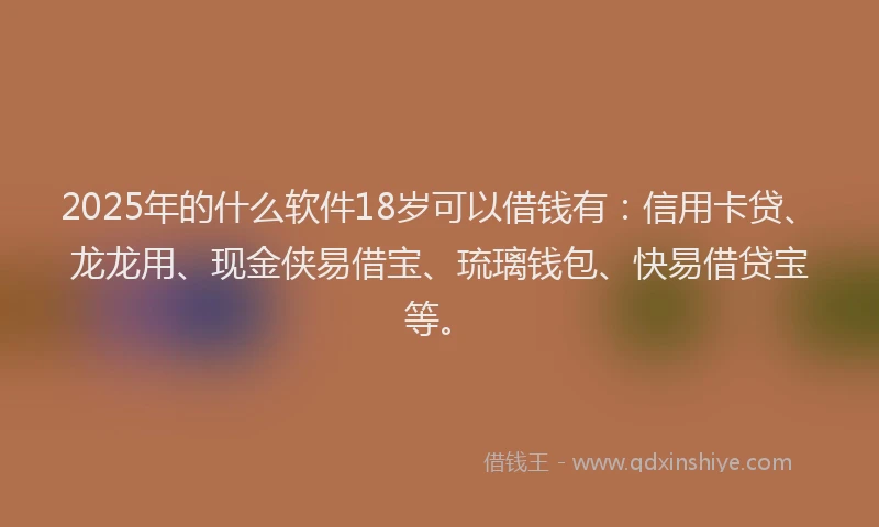 2025年的什么软件18岁可以借钱有：信用卡贷、龙龙用、现金侠易借宝、琉璃钱包、快易借贷宝等。