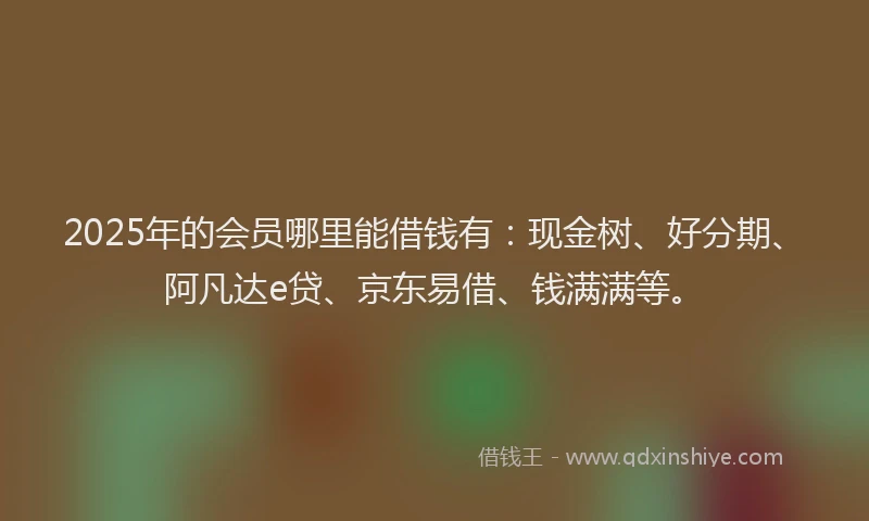 2025年的会员哪里能借钱有：现金树、好分期、阿凡达e贷、京东易借、钱满满等。