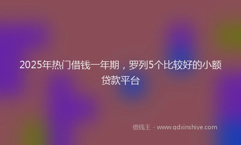 2025年热门借钱一年期，罗列5个比较好的小额贷款平台
