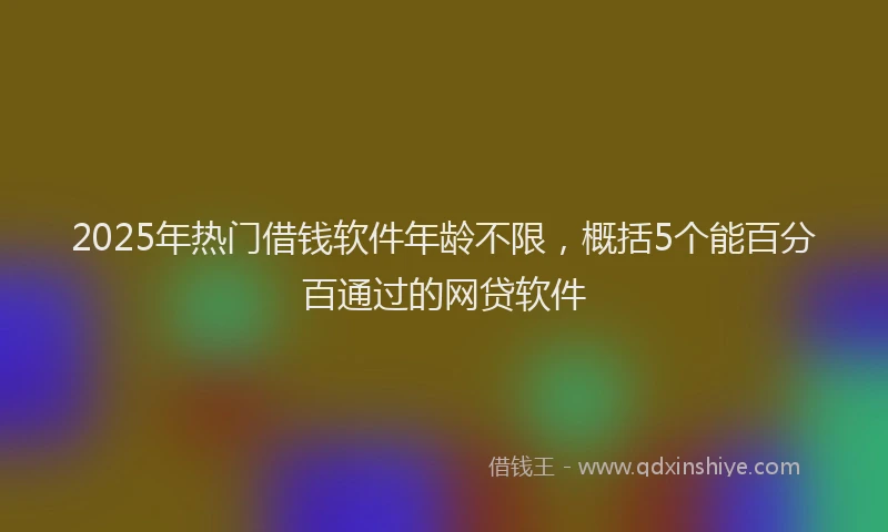 2025年热门借钱软件年龄不限，概括5个能百分百通过的网贷软件