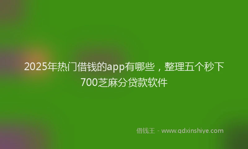 2025年热门借钱的app有哪些，整理五个秒下700芝麻分贷款软件