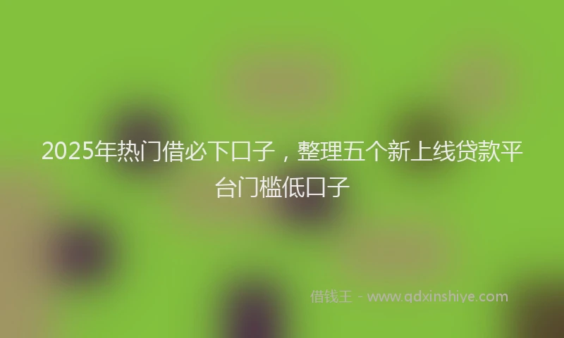 2025年热门借必下口子，整理五个新上线贷款平台门槛低口子