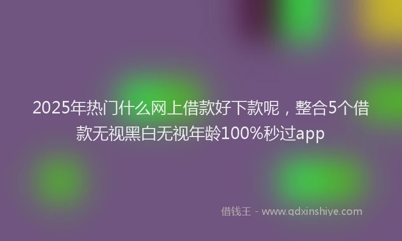 2025年热门什么网上借款好下款呢，整合5个借款无视黑白无视年龄100%秒过app