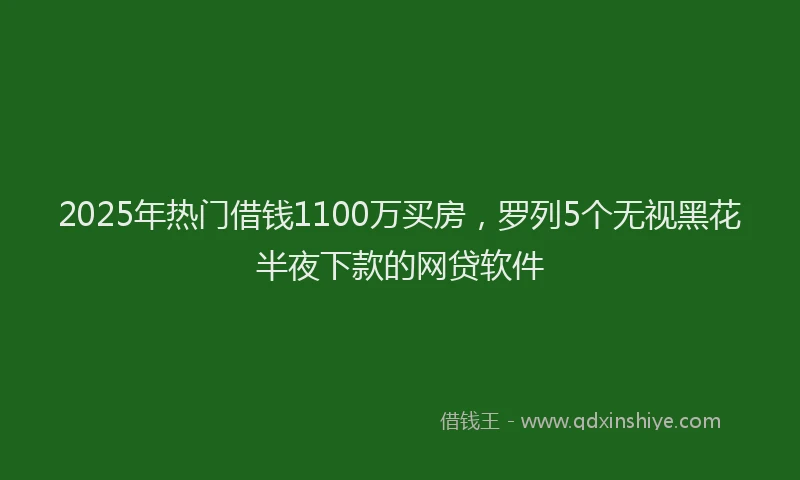 2025年热门借钱1100万买房，罗列5个无视黑花半夜下款的网贷软件