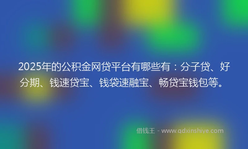 2025年的公积金网贷平台有哪些有：分子贷、好分期、钱速贷宝、钱袋速融宝、畅贷宝钱包等。